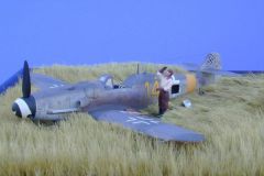 Lowe_Bf_109G-8_1