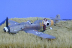normal_Lowe_Bf_109G-8_1