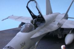 DSCN3874