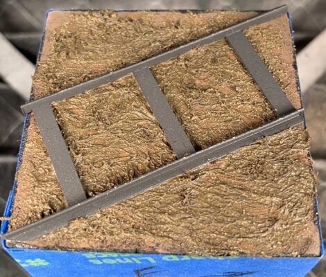 F081DF63-55A0-4BCA-8933-7055143F978C