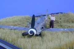 normal_Lowe_Bf_109G-8_2