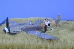 thumb_Lowe_Bf_109G-8_1